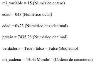 Imagen1